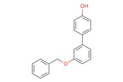eMolecules​ 4-(3-Benzyloxyphenyl)phenol | 889950-85-0 | MFCD06802269 |