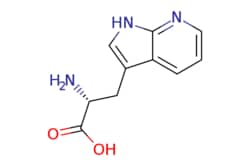 eMolecules​ D-7-Azatryptophan | 134235-82-8 | MFCD10565743 | 1g, Quantity: