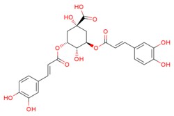 eMolecules​ ISOCHLOROGENIC ACID A | 2450-53-5 | MFCD00951290 | 0.25g, Quantity: