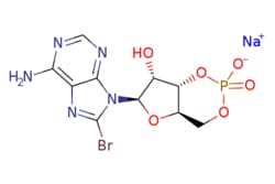 eMolecules​ 8-BROMO-CYCLIC AMP (SODIUM SALT) | 76939-46-3 | MFCD00005844