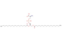 eMolecules PHOSPHATIDYLSERINE | 51446-62-9 | MFCD00135635 | 1g, Quantity: