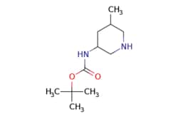 eMolecules​&nbsp;TERT-BUTYL (5-METHYLPIPERIDIN-3-YL)CARBAMATE | 1270019-95-8 | MFCD24445482 | 1g