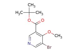 eMolecules​ TERT-BUTYL 5-BROMO-4-METHOXYNICOTINATE | 2225879-35-4 | | 1g,