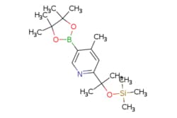 eMolecules​ 4-METHYL-5-(4,4,5,5-TETRAMETHYL-1,3,2-DIOXABOROLAN-2-YL)-2-(2-((TRIMETHYLSILYL)OXY)PROPAN-2-YL)PYRIDINE