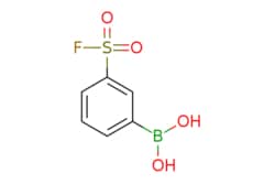 eMolecules​ (3-(FLUOROSULFONYL)PHENYL)BORONIC ACID |  |  | 1g