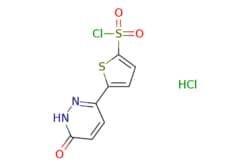 eMolecules​ 5-(6-OXO-1,6-DIHYDROPYRIDAZIN-3-YL)THIOPHENE-2-SULFONYL CHLORIDE