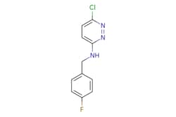 eMolecules​&nbsp;N-(4-fluorobenzyl)-6-chloropyridazin-3-amine |  | MFCD07681959 | 1g