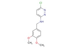 eMolecules​&nbsp;N-(3,4-dimethoxybenzyl)-6-chloropyridazin-3-amine | 1155466-26-4 | MFCD12478964 | 1g
