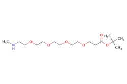 eMolecules​ Methylamino-PEG4-t-butyl ester | 1621616-14-5 | MFCD28155210