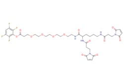 eMolecules​ Bis-Mal-Lysine-PEG4-TFP ester | 1426164-53-5 | MFCD28385461
