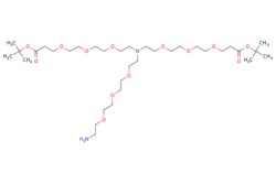 eMolecules​ N-(Amino-PEG3)-N-bis(PEG3-t-butyl ester) | 2055042-62-9 | MFCD30182037