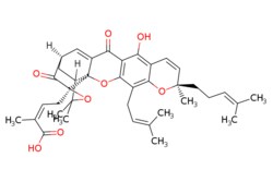 eMolecules​ Gambogic acid | 2752-65-0 | | 1g, Quantity: Each of 1