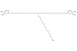 eMolecules​&nbsp;N-(Amino-PEG4)-N-bis(PEG4-t-butyl ester) | 2093153-97-8 | MFCD30723262 | 500mg