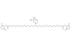 eMolecules​ N-Boc-N-bis(PEG4-NHS ester) | 2093153-08-1 | MFCD29912670 |