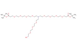 eMolecules​&nbsp;N-(Hydroxy-PEG3)-N-bis(PEG4-t-butyl ester) | 2112734-70-8 | MFCD30730366 | 500mg