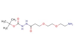 eMolecules​&nbsp;Amino-PEG2-t-Boc-hydrazide | 2100306-60-1 | MFCD30828685 | 1g
