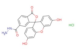 eMolecules​ FAM hydrazide, 6-isomer | 2183440-65-3 | | 50mg, Quantity:
