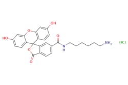 eMolecules​&nbsp;FAM amine, 6-isomer | 2183440-42-6 |  | 50mg