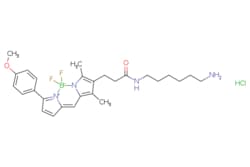 eMolecules​ BDP TMR amine | 2183473-09-6 | | 50mg, Quantity: Each of 1