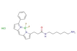 eMolecules​ BDP R6G amine | 2183473-06-3 | | 50mg, Quantity: Each of 1
