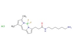 eMolecules​ BDP FL amine | 2183473-03-0 | | 50mg, Quantity: Each of 1