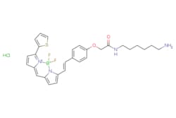 eMolecules​&nbsp;BDP 630/650 amine | 2183473-00-7 |  | 50mg