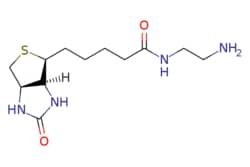 eMolecules​ Biotin-EDA | 111790-37-5 | MFCD09839905 | 1g, Quantity: Each
