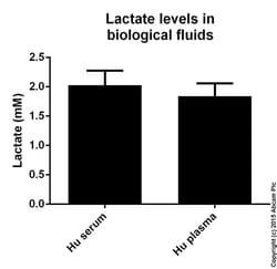 Abcam L-Lactate Assay Kit (Colorimetric/Fluorometric)