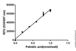 Abcam Free Fatty Acid Assay Kit -¿Quantification, Quantity: Each of 1