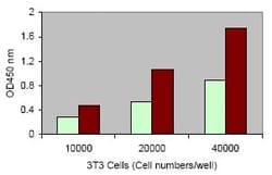 Abcam LDH Assay Kit¿(Cytotoxicity), Quantity: Each of 1