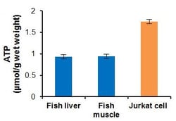 Abcam ATP Assay Kit (Colorimetric/Fluorometric), Quantity: Each of 1
