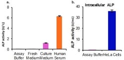 Abcam&nbsp;Alkaline Phosphatase Assay Kit (Colorimetric)