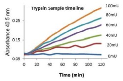 Abcam Trypsin Activity Assay Kit (Colorimetric), Quantity: Each of 1