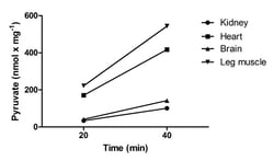 Abcam&nbsp;Alanine Transaminase Activity Assay Kit (Colorimetric/Fluorometric)