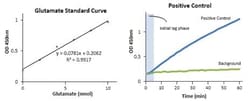 Abcam Aspartate Aminotransferase¿Activity Assay Kit, Quantity: Each of
