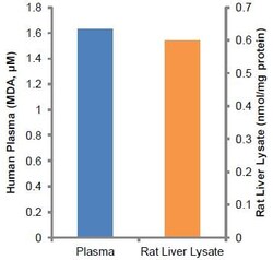 Abcam&nbsp;Lipid Peroxidation (MDA) Assay Kit (Colorimetric/Fluorometric)