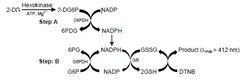 Abcam Glucose Uptake Assay Kit (Colorimetric), Quantity: Each of 1