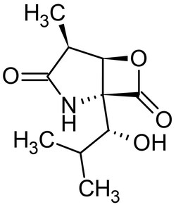 Abcam clasto-Lactacystin beta-lactone, 20S proteasome inhibitor, 100UG,