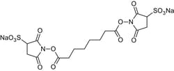Abcam BS3 crosslinker, primary amine reactive crosslinker, 250MG