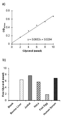 Abcam Free Glycerol Assay Kit II (Colorimetric), Quantity: Each of 1