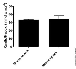 Abcam Xanthine/Hypoxanthine Assay Kit, Quantity: Each of 1
