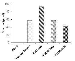 Abcam Glucose Assay Kit (Fluorometric, High Sensitivity), Quantity: Each