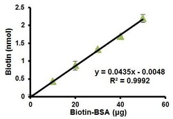 Abcam&nbsp;Biotin Assay Kit (Colorimetric)