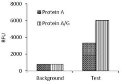Abcam Immunoprecipitation kit, 25 Tests, Quantity: Each of 1