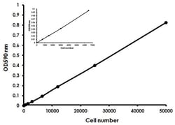 Abcam MTT Assay Kit (Cell Proliferation), Quantity: Each of 1