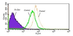 Abcam Senescence Assay Kit (Beta Galactosidase, Fluorescence), Quantity: