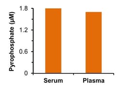 Abcam&nbsp;Pyrophosphate Assay Kit (Colorimetric / Fluorometric)