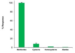 Abcam Methionine Assay Kit (Fluorometric)