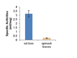 Abcam&nbsp;Uricase Assay Kit (Fluorometric)