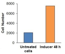 Abcam Cell Migration/Chemotaxis Assay Kit (96-well, 3 ¿m), Quantity: Each